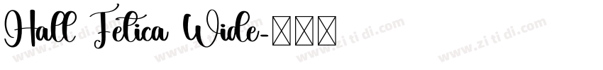 Hall Fetica Wide字体转换